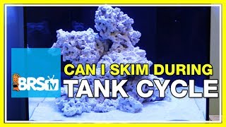 FAQ 30 Should I run my protein skimmer during my tank cycle and while curing rock [upl. by Gordy]