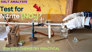 Test for nitrite ion NO2  salt analysis for anion 11th 12th chemistry saltanalysis lab [upl. by Alben581]