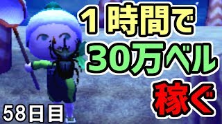 【とび森】58 誰でも出来る！？１時間で３０万ベル稼ぐ方法！【とびだせどうぶつの森】【実況】 [upl. by Bank]