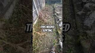 This needed sorting garden gardening tidy satisfying [upl. by Everrs]