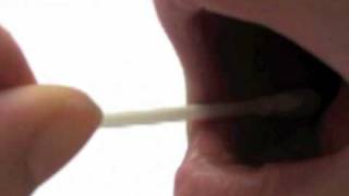 How to take a mouth swab for DNA Paternity Testing [upl. by Fania]