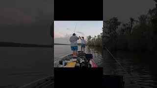 Poor guy… youtubeshort bassfishing fishing [upl. by Tabor620]