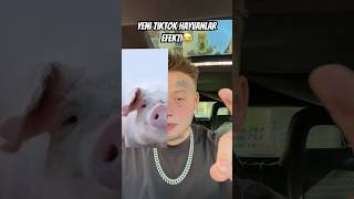 Alexsa Yeni Tiktok Hayvanlar Efekti Alexsa Yeni Tiktok Efekti Deniyor shorts [upl. by Ardys]