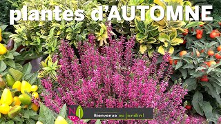 PROFITEZ PLUS LONGTEMPS DE VOTRE JARDIN AVEC UN BEAU KALÉIDOSCOPE DE PLANTES ET FLEURS D’AUTOMNE [upl. by Jacob]