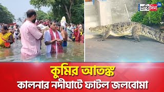 Kalna Crocodile News Allert on the river banks due to panic of crocodile [upl. by Ahsinirt]