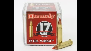 17HMR Hornady 17gr VMax Rifle 21 de cano [upl. by Nordin]