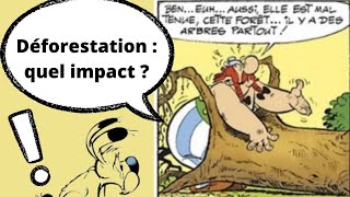 Causes et conséquences de la déforestation sur le changement climatique [upl. by Ballou]