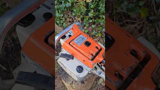 Stihl 075 AV 36in 111cc chainsaws [upl. by Ossy822]