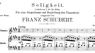 Seligkeit E Major Franz Schubert Piano Accompaniment [upl. by Proffitt]