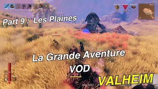 Valheim LGA Episode 9  Les Plaines Serveur Communautaire [upl. by Sakram]