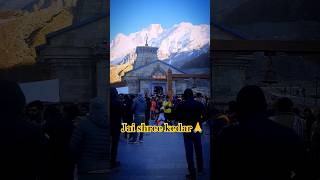 Jai shree kedar🙏 kedarnathtemple [upl. by Mages]