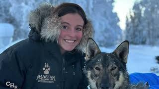 Yukon Quest Alaska  2023 HD 1080p [upl. by Leduar]