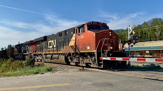 CN Coal Train Rolls Through Valemount BC [upl. by Ahtanamas881]