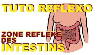 TUTO REFLEXOLOGIE PLANTAIRE COURS GRATUIT LINTESTIN POUR CONSTIPATION STRESS ET DETENTE [upl. by Shore498]