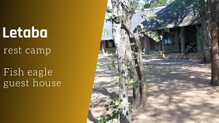 Fish eagle guest house  Letaba rest camp  Kruger national park [upl. by Tennek]