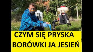 Czym Pryskać Borówki na Jesień Kilka 2 Najpopularniejsze Zabiegi [upl. by Ivek808]