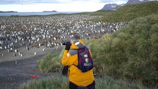 A Journey Beyond Description South Georgia [upl. by Deming]