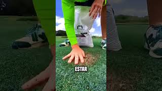 ¡El tipo volvió verde el lugar seco😮 shortsvideo [upl. by Stilwell]