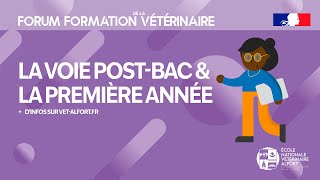 FFVET24 La voie postbac amp la première année [upl. by Kcirddahc]