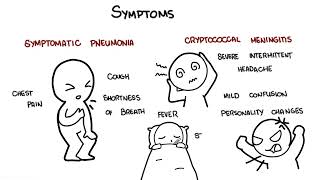 Cryptococcus neoformans infection  symptoms pathophysiology diagnosis treatment [upl. by Yerac71]