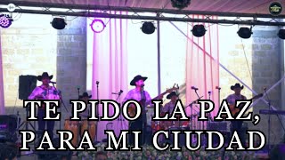 TE PIDO LA PAZ  MUSICA CRISTIANA NORTEÑA [upl. by Acilef]