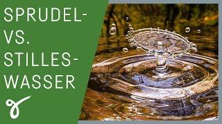 Wasser mit Kohlensäure vs stilles Wasser  Was ist gesünder  Gerne Gesund [upl. by Eiramaliehs]