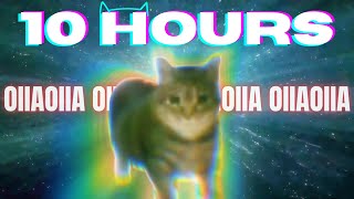 OIIA OIIA CAT 10 HOURS [upl. by Assiram802]