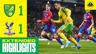 EXTENDED HIGHLIGHTS  Norwich City 11 Crystal Palace [upl. by Lose977]