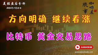 个股分析 MSTR HUT COIN AMZN NKE LLY NVDA SOXX TSLA TLT 【视频第720期】11262024 [upl. by Nylleoj157]