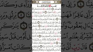 Surah mariyam❤️ ke fayda youtube short vedio Islamic [upl. by Adelaide562]