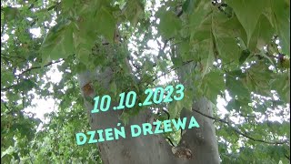 Dzień Drzewa 23 [upl. by Arodal167]