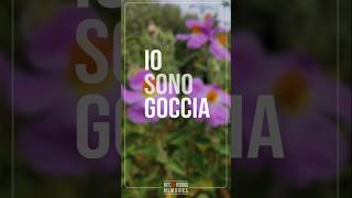 A TUTTI COSTI  🌱🌱🌱 INEDITO  IO SONO GOCCIA [upl. by Einolem]