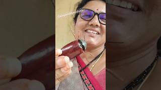 జీరింగతో ఆడుకున్నారా మీరు చిన్నప్పుడు sternocera chrysis [upl. by Ueik]