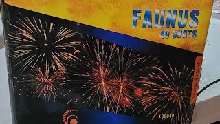 Faunus 49 Shots  Leegendary Fireworks [upl. by Lenny]