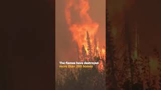 Canadian Wildfires  Fires in Canada [upl. by Love]