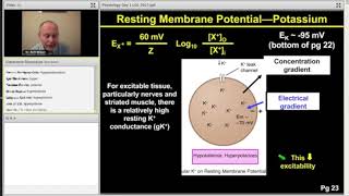 Membrane Potential  Step 1 Physiology [upl. by Ecyob515]