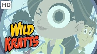 Wild Kratts ❓🔎 Who Is Martin Talking To  Kids Videos [upl. by Jodie]