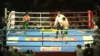 Brian Viloria vs Ulises Solis [upl. by Yaffit]