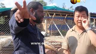 Asians flee logging site in Oro Province [upl. by Geri728]