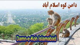 Beautiful DamaneKoh Hilltop Garden Park In Islamabad DamaneKoh [upl. by Kcirtapnaes309]