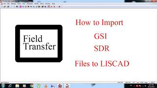 Field Transfer Gsi Sdr Tsj formats in LisCAD [upl. by Ainahtan]