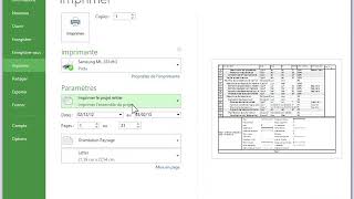 14 Imprimer un document ms project [upl. by Nyleahs160]