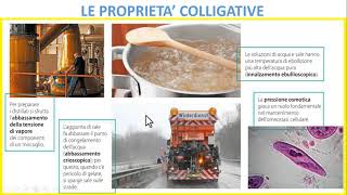 LE PROPRIETA COLLIGATIVE DI UNA SOLUZIONE [upl. by Christis717]