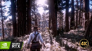 Red Dead Redemption 2 Fall 4K  Dynamic Seasonquotrdr2 rtx [upl. by Aleina]