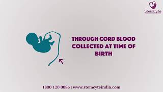 Cord Blood Stem Cells  StemCyte India [upl. by Asenaj]