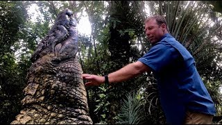 When a 14ft Nile Crocodile is your BFF [upl. by Roberto]