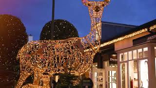 Christmas shopping but better Enjoy Christmas at Kildare Village [upl. by Acinej]