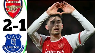 🔴Arsenal vs Everton 21 HIGHLIGHTS  Tomiyasu amp Havertz score [upl. by Nywnorb845]