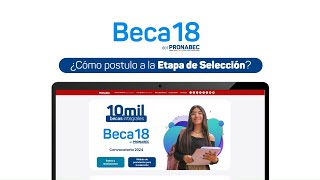 Beca 182024 tutorial de postulación para la SELECCIÓN [upl. by Shurlocke981]