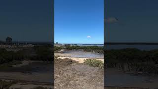 Beautiful view of Tooradin mangroves australiancapital melbourne [upl. by Sharp944]